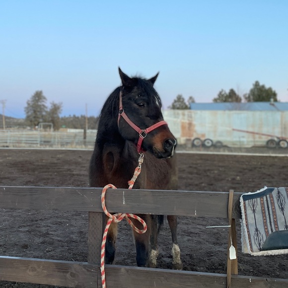 Meet your Posher, Madelynn - Picture 1 of 1